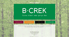 Desktop Screenshot of bcrek.com